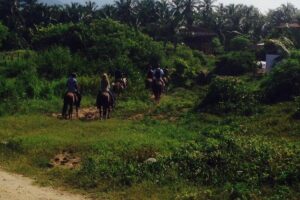 Horseback Riding on the Beach - Key Things to Know Before You Go