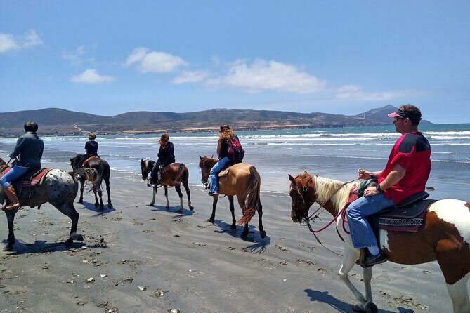 Horseback Riding on the Beach from Ensenada - Getting There Without Stress: Meeting Points and Timing