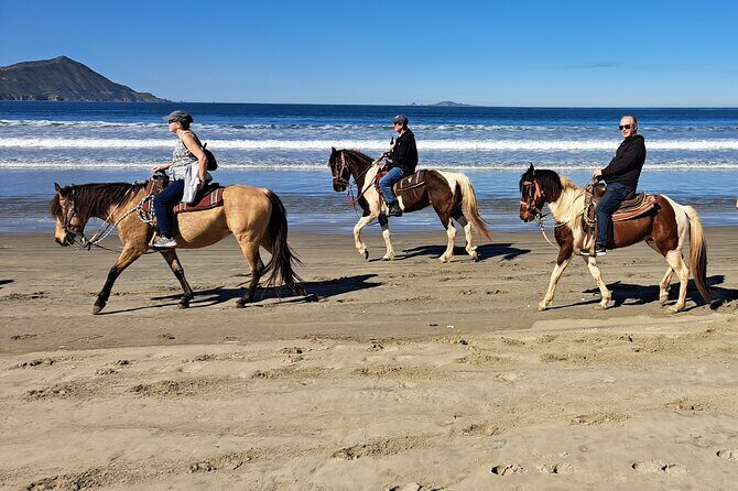 Horseback Riding on the Beach from Ensenada - The Beach Ride Itself: Calm Walking, Ocean Air, and When You Can Go Faster