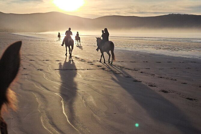 Horseback Riding on the Beach from Ensenada - Guides, Group Feel, and That Small-Group Advantage
