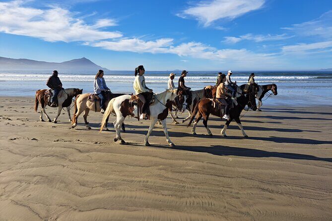 Horseback Riding on the Beach from Ensenada - Photos and Keepsakes: The Fun Stuff You Don’t Want to Miss