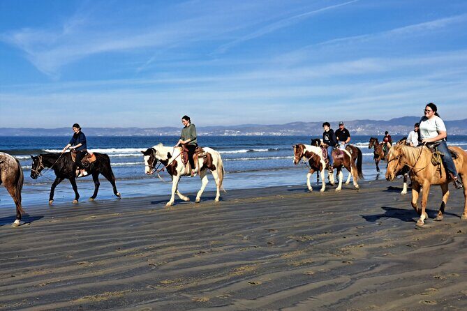 Horseback Riding on the Beach from Ensenada - What to Bring and How to Prepare (So the Ride Feels Easy)