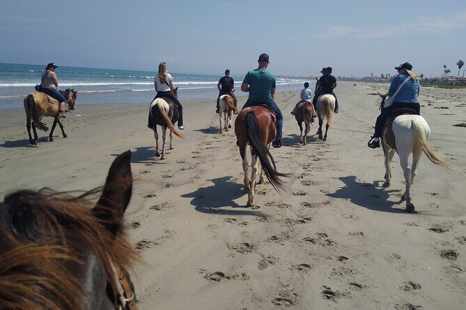 Horseback Riding on the Beach from Ensenada - Who This Excursion Fits Best (And Who Might Want Something Different)