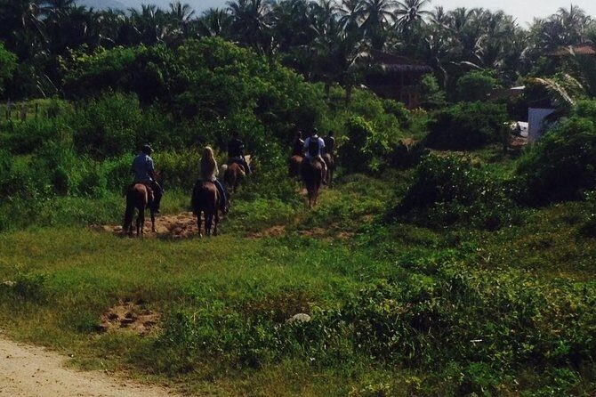Horseback Riding on the Beach - Key Things to Know Before You Go