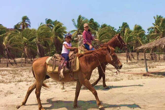 Horseback Riding Playa Larga - Playa Larga by saddle: what the experience really feels like