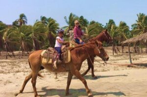 Horseback Riding Playa Larga - Itinerary in order: from the meeting point to the beach and back
