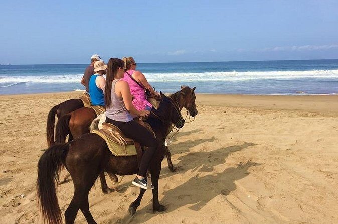 Horseback Riding Playa Larga - Small-group energy: what it means when max is 10