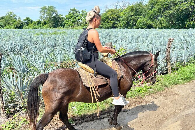 Horseback Riding & Swim: Tequila Tasting, BBQ & Margaritas - La Dulce Vista tequila tasting: Blanco, Reposado, Anejo, and Pink