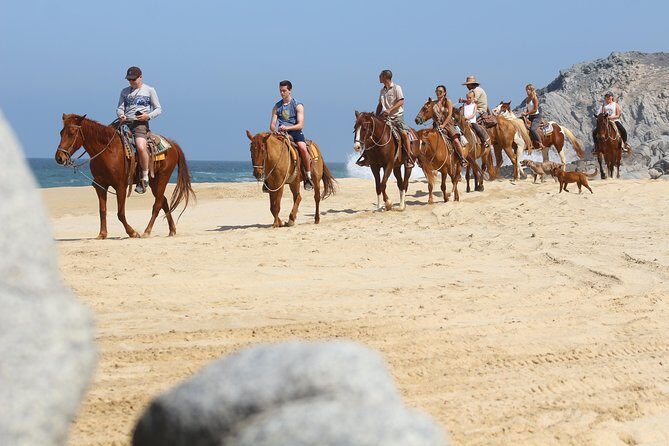 Horseback Riding Tour in Cabo San Lucas - Quick Highlights You’ll Feel Right Away