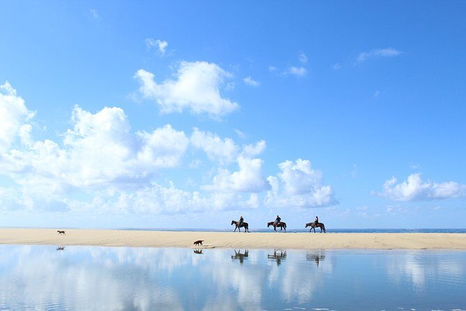 Horseback Riding Tour in Cabo San Lucas - Picking Your Horse and Getting Ready for the Desert-By-the-Beach Ride