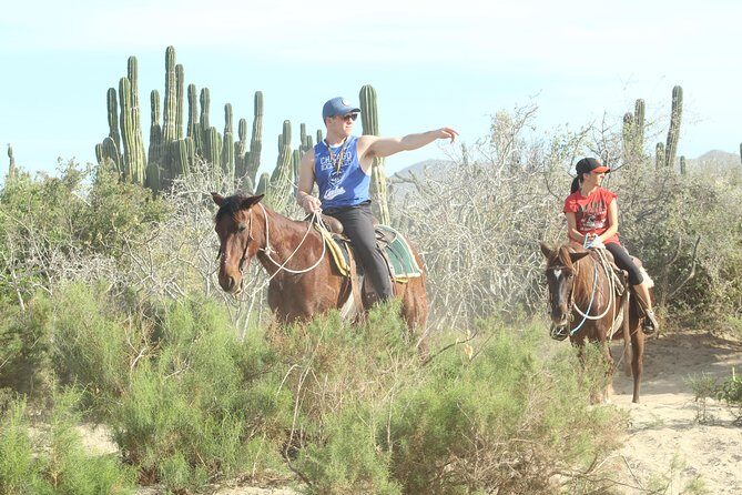 Horseback Riding Tour in Cabo San Lucas - Sea Turtle Conservation Stops: Why This Ranch Matters