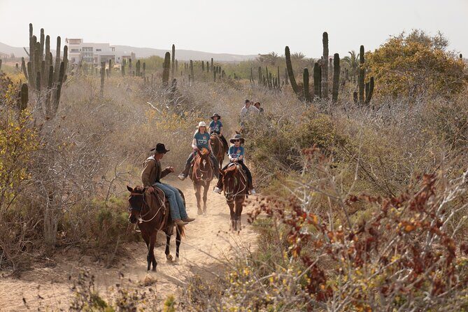 Horseback Riding Tour in Cabo San Lucas - Safety, Tack, and Comfort: What to Watch Before You Mount