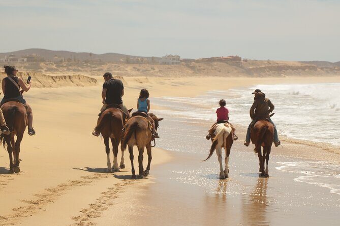 Horseback Riding Tour in Cabo San Lucas - Photos, Park Entry, and the Real Cost of the Day