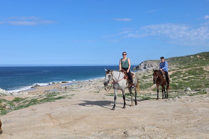 Horseback Riding Tour in Cabo San Lucas - Who This Horseback Tour Is Best For (and Who Should Skip It)