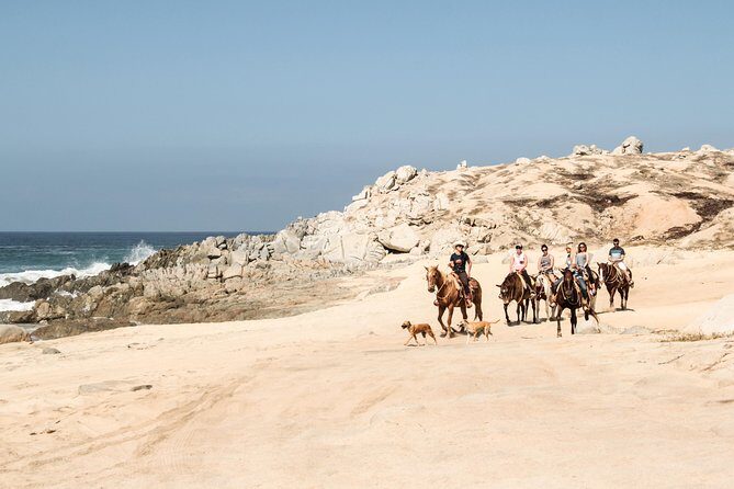 Horseback Riding Tour in Cabo San Lucas - Booking Tips for Cabo Horseback Riding at Rancho Carisuva
