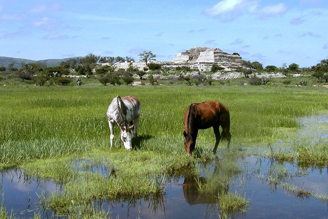 Immersive Cañada de La Virgen Pyramid Tour - Is this tour worth your time in San Miguel?
