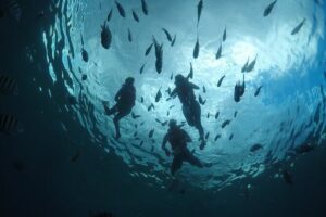 Invisible Boat Snorkeling Tour - Meeting Point Reality: Where to Go First
