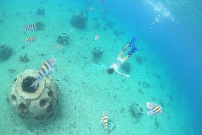 Invisible Boat Snorkeling Tour - Who This Tour Suits Best (And Who Might Skip)