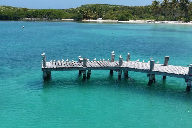 Isla Contoy and Isla Mujeres Tour with Snorkeling from Cancun - From Cancun to Punta Sam marina: how the morning actually flows