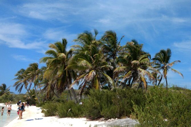 Isla Contoy and Isla Mujeres Tour with Snorkeling from Cancun - Isla Mujeres: shopping time plus the boat’s party-deck energy