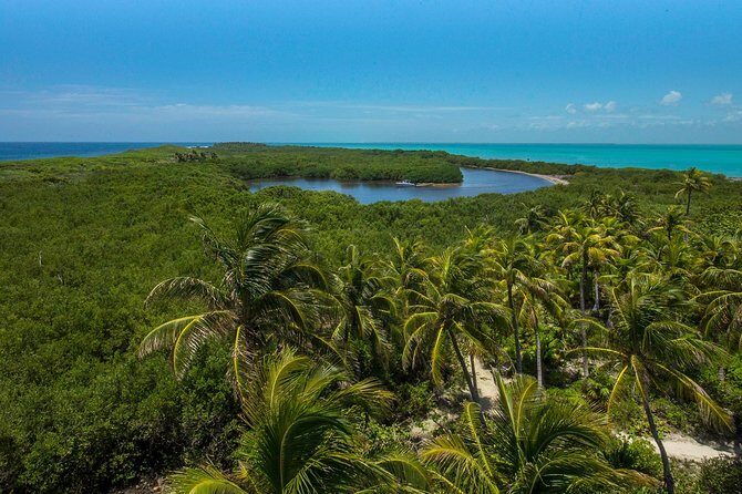 Isla Contoy and Isla Mujeres Tour with Snorkeling from Cancun - Who should book this tour, and who might want another option