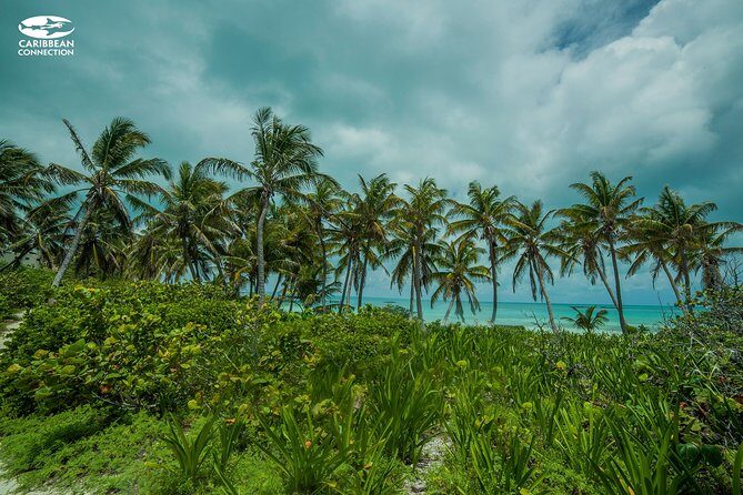 Isla Contoy Eco Adventure - Lunch on Contoy: what you eat matters more than you’d think