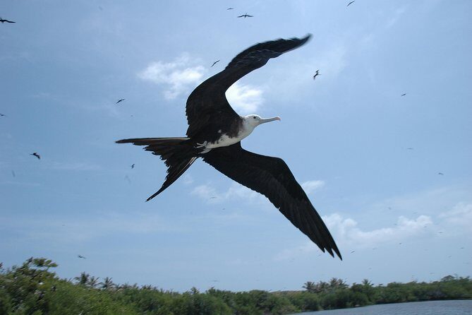 Isla Contoy Eco Adventure - The boat experience: fun energy, but plan for loud sound and tight rules