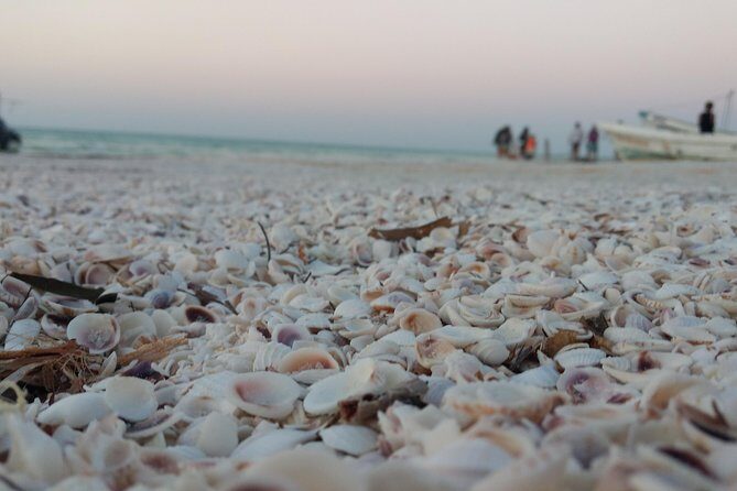 Isla Holbox All Inclusive with Transportation (Breakfast and Food Included) - The Boat Day Experience: Speed, Stops, and Group Feel