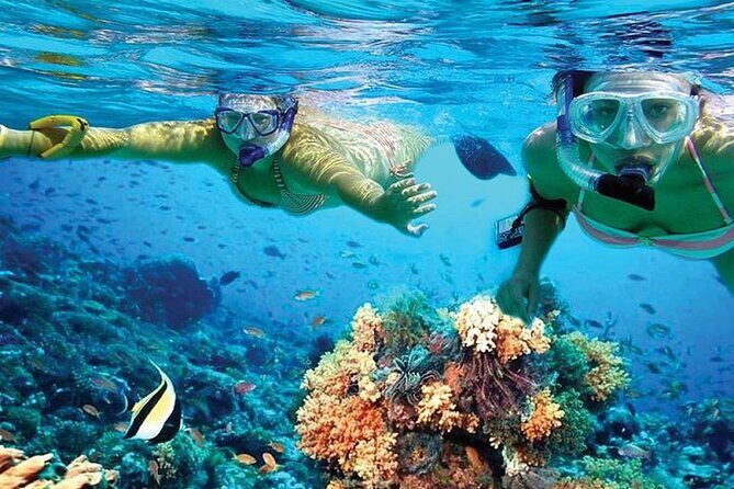 Isla Mujeres Catamaran, Open Bar & Optional Buffet and pick up - Arrecife El Meco Snorkeling: Equipment In, Time Tight
