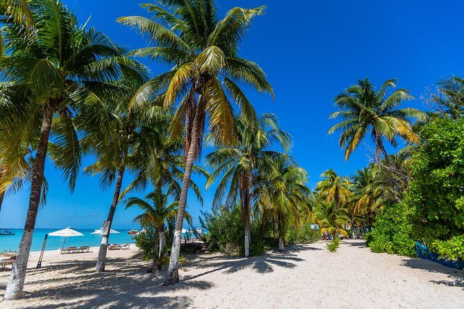 Isla Mujeres Catamaran, Open Bar & Optional Buffet and pick up - Isla Mujeres Free Time: Beach Club Plus Island Exploring