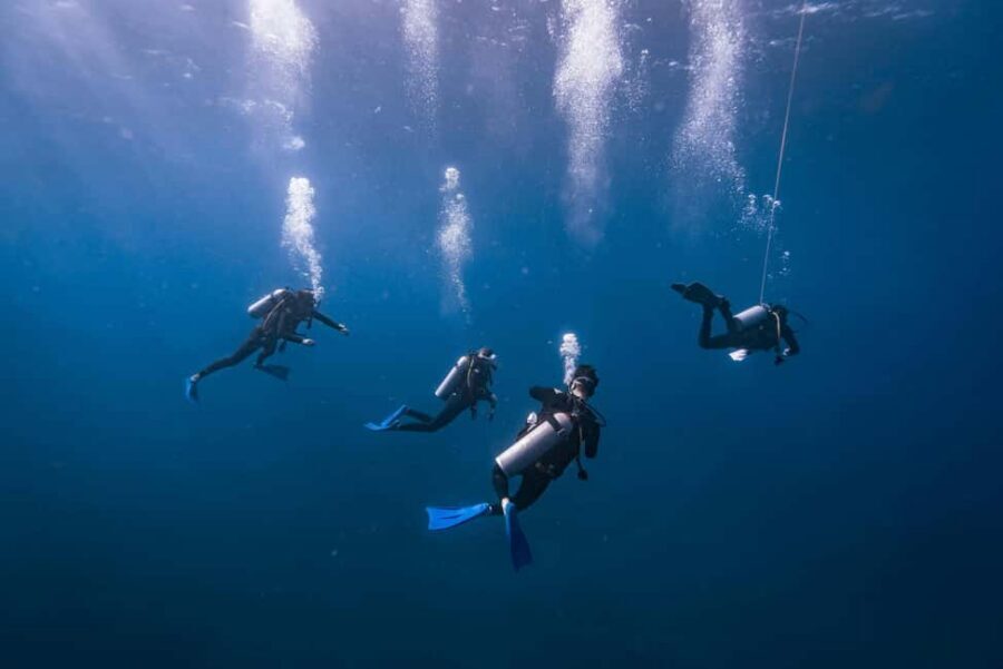 Isla Mujeres: Catamaran Ride with Open Bar, Snorkeling, and Lunch - Cancun to Isla Mujeres by catamaran: the real point of the trip