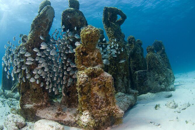 Isla Mujeres Catamaran Tour with Snorkeling at MUSA, Buffet Lunch & Open Bar - Stop 3: Isla Mujeres on Your Own (Beach Club Lunch + Free Time)