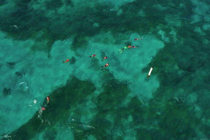 Isla Mujeres Island and Snorkeling Tour - Who this tour suits best (and who should look elsewhere)