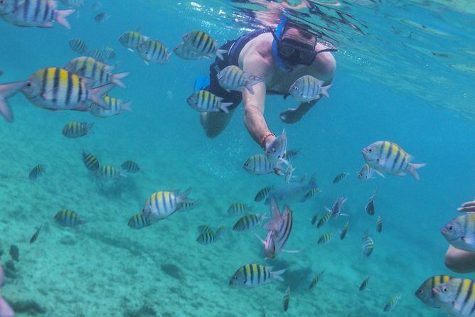 Isla Mujeres Luxury Sailing: Adults Only or Family Friendly - Snorkeling in Cancun waters: included gear, limited reality, and safety rules