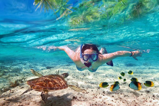 Isla Mujeres Sailing catamaran tour - Beach club lunch and chill time: nice facilities, but timing can feel short