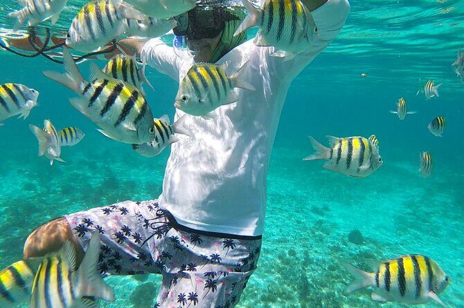 Isla Mujeres Snorkeling Adventure at the Underwater Museum - Who Should Book This Snorkel Adventure