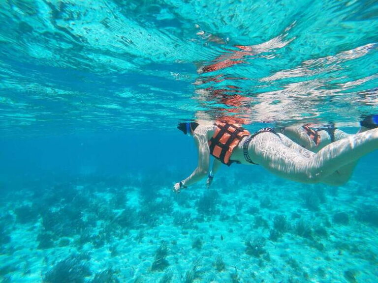 Isla Mujeres: Snorkeling Adventure at the Underwater Museum - El Farito Reef: The Boat-Only Snorkel That Starts the Trip Right