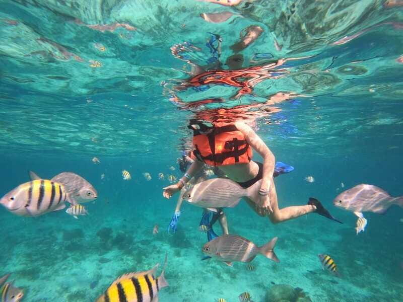 Isla Mujeres: Snorkeling Adventure at the Underwater Museum - Small Details That Make or Break Snorkeling Comfort