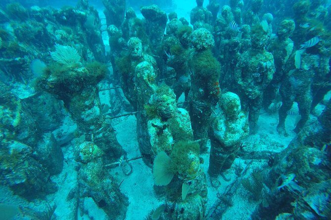 Isla Mujeres Snorkeling Tour Adventure - The small-group feel at Island Adventures Mexico: meeting point and flow