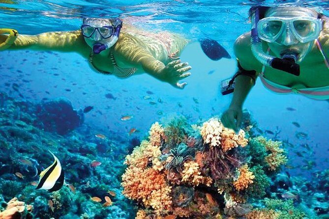 Isla Mujeres tour in a Catamaran with snorkel, open bar, lunch - Isla Mujeres at the beach club: lunch, open bar, and real downtime