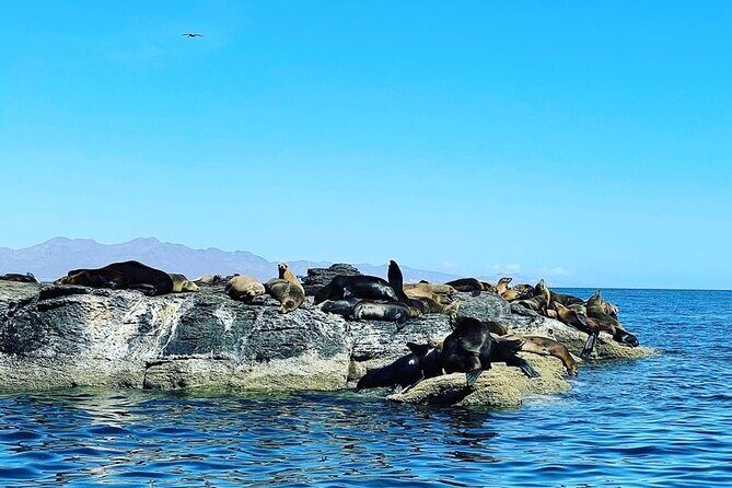Island Tour with Snorkeling and Picnic - English guide, local captain style, and the difference between commentary and chaos