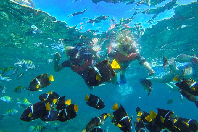 Islas Marietas & BBQ lunch at Majahuitas - Crew Energy and Onboard Vibe: Shows, Music, and How the Day Stays Fun