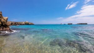 Islas Marietas: Snorkel, Kayak, Paddle, and Playa Nopalera - Price and Logistics: The Total Cost You Should Budget