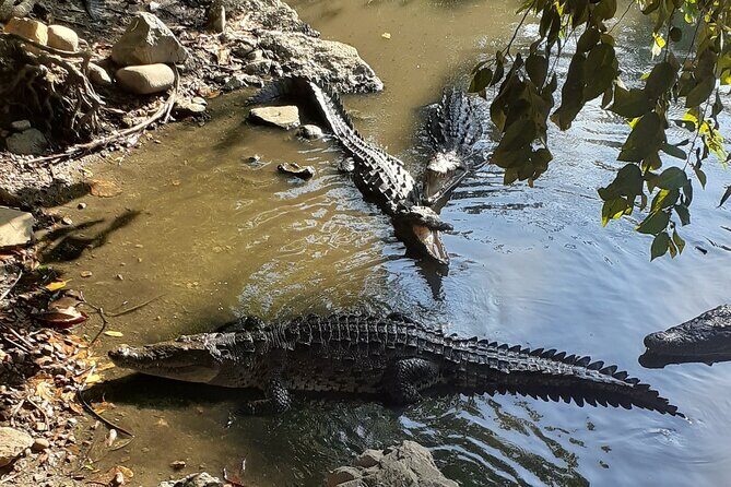 Ixtapa Island Tour - Price and value: what you’re really paying for