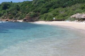 Ixtapa Island Tour - Playa Linda lagoon stop: quick nature learning, real wildlife spotting