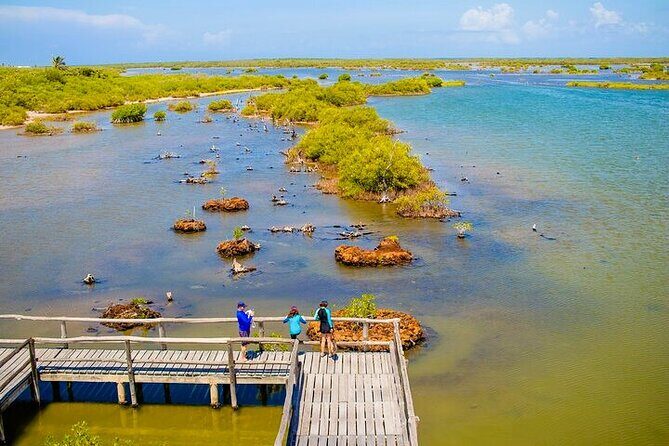 Jeep Safari All Inclusive Private Tour - Sabores de Cozumel: Chocolate, Tortillas, and Tequila Seminars