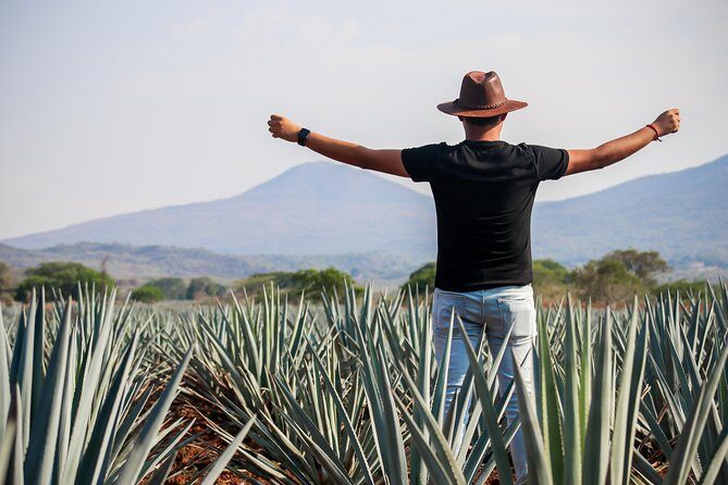 José Cuervo Tequila Day Experience from Guadalajara - What you learn: from agave origins to what’s in your glass