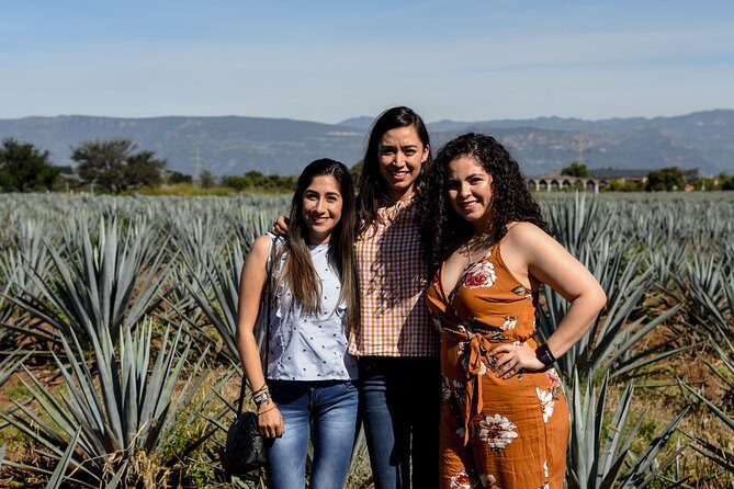 José Cuervo Tequila Day Experience from Guadalajara - Tequila town break: roam time, center-square snacks, and time pressure