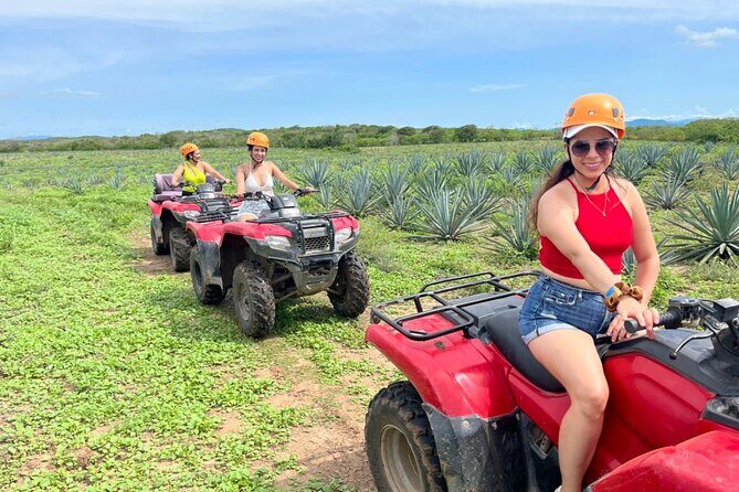 Jungle and beach ATV tour + lunch + tequila tasting - Key points before you go