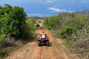Jungle and beach ATV tour + lunch + tequila tasting - ATV ride setup: instruction, staggered guides, and what the terrain feels like